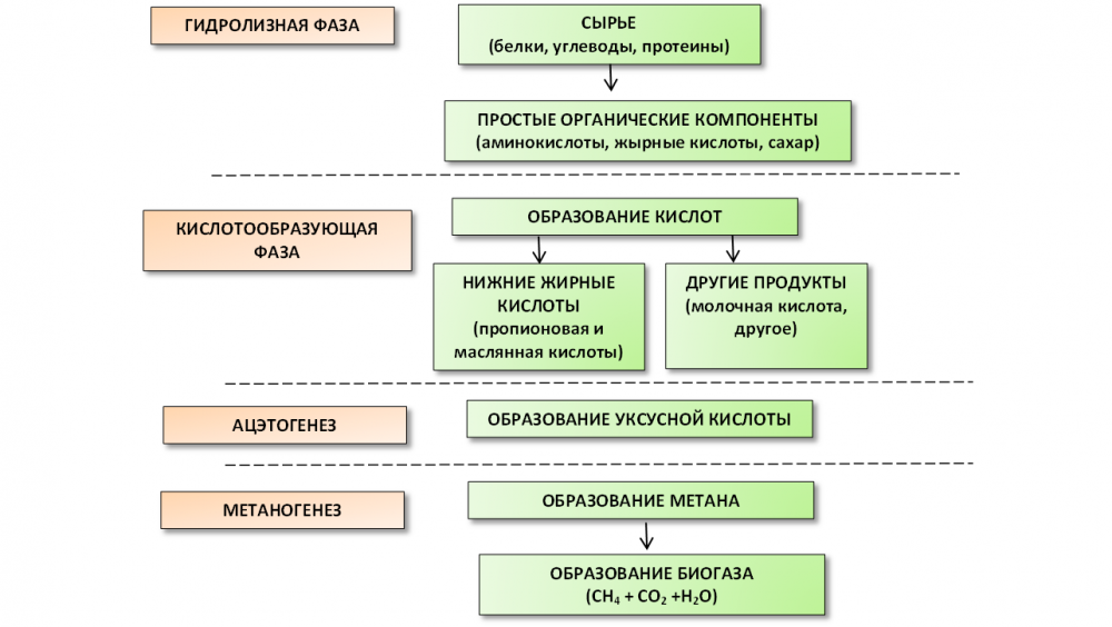 Стадии производства биогаза