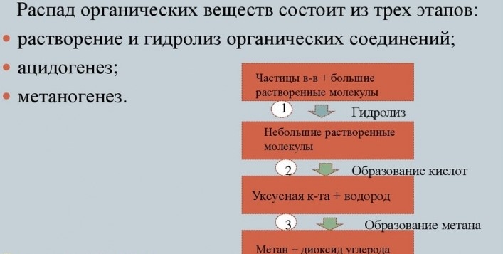 Получение биогаза из органических отходов